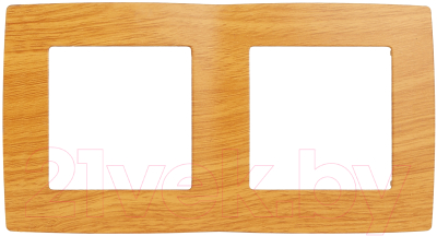 Рамка для выключателей и розеток ЭРА 12-5002-07 / Б0014757 - фото