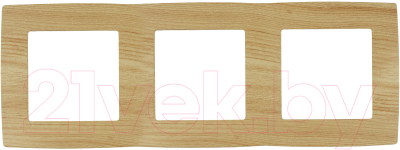 Рамка для выключателей и розеток ЭРА 12-5003-11 / Б0019148 - фото