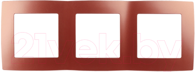 Рамка для выключателей и розеток ЭРА 12-5003-24 / Б0019407 - фото