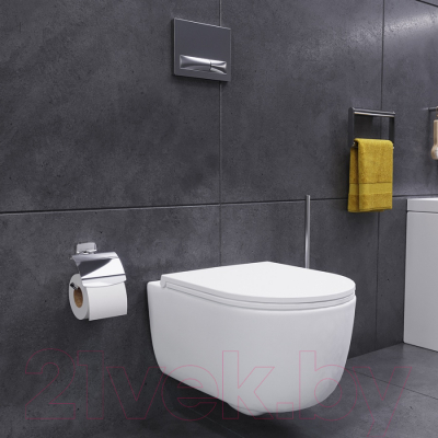 Унитаз подвесной Damixa DX86C1700SC