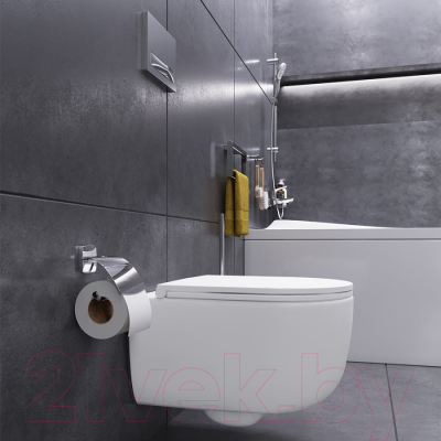 Унитаз подвесной Damixa DX86C1700SC