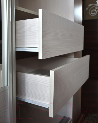 Шкаф-купе Евва 138 BBZ.04 / АЭП ШК.2 02 (бодега/бодега/жемчуг зерно)