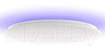Потолочный светильник Yeelight Arwen Ceiling Light 550C / YLXD013-C