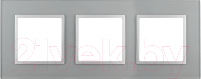 Рамка для выключателей и розеток ЭРА Elegance 14-5103-03 / Б0034508 - фото
