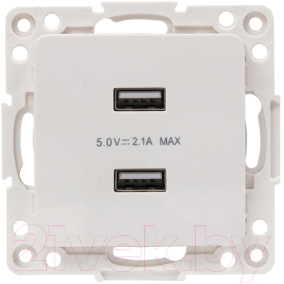 Розетка EKF PROxima Стокгольм EYR16-028-10-2USB - фото