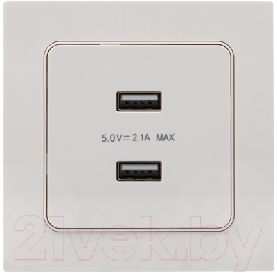 Розетка EKF PROxima Стокгольм EYR16-028-10-2USB