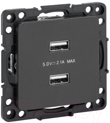 Розетка EKF PROxima Стокгольм EZR16-028-10-2USB - фото
