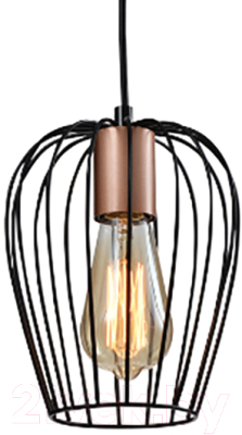 Потолочный светильник Rivoli Atena 5063-201 / Б0047367