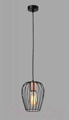 Потолочный светильник Rivoli Atena 5063-201 / Б0047367