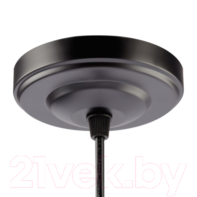 Потолочный светильник Rivoli Martina 5074-201 / Б0047538