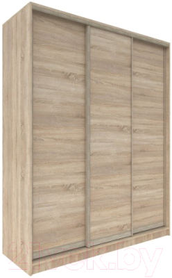 Шкаф-купе Евва 203 SSH.13 / АЭП ШК.3 02 (дуб сонома/дуб сонома/дуб шато) - фото