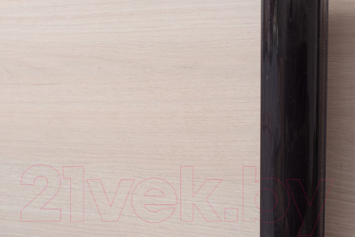 Шкаф-купе Евва 176 VHG.01 / АЭП ШК.3 03 (венге/дуб шамони светлый/венге глянец)