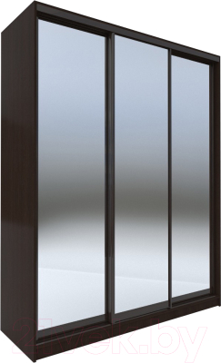 Шкаф-купе Евва 203 VG.05 / АЭП ШК.3 02 (венге/зеркало/венге глянец) - фото