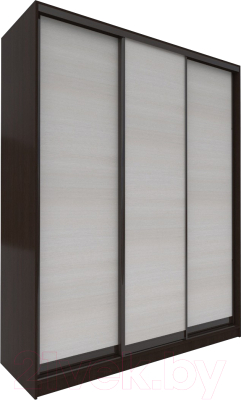 Шкаф-купе Евва 233 VHG.13 / АЭП ШК.3 01 (венге/дуб шамони светлый/венге глянец) - фото