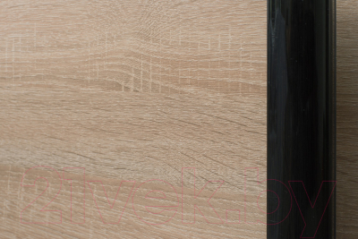 Шкаф-купе Евва 176 VSG.13 / АЭП ШК.3 03 (венге/дуб сонома/венге глянец)