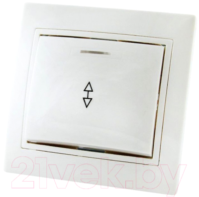 Выключатель TDM Таймыр SQ1814-0008 - фото