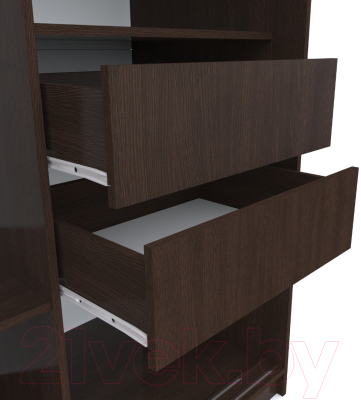 Шкаф-купе Евва 233 VTG.12 / АЭП ШК.3 01 (венге/дуб трюфель/венге глянец)