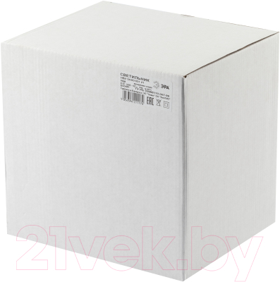 Бра уличное ЭРА НБУ 04-60-001 / Б0048113