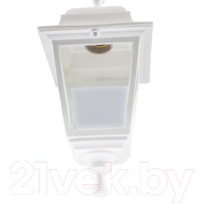 Светильник уличный ЭРА НСУ 04-60-001 / Б0048107