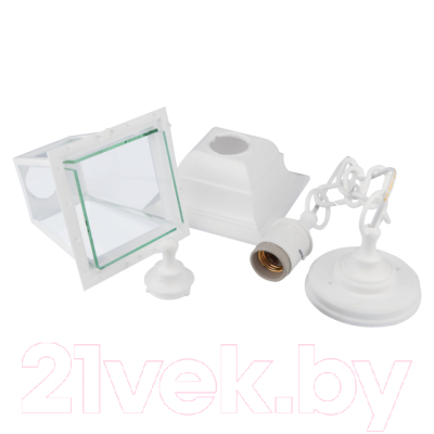 Светильник уличный ЭРА НСУ 04-60-001 / Б0048107