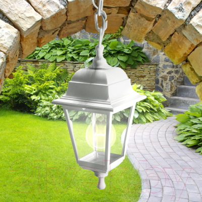 Светильник уличный ЭРА НСУ 04-60-001 / Б0048107