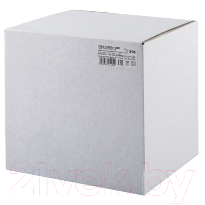 Светильник уличный ЭРА НСУ 04-60-001 / Б0048107