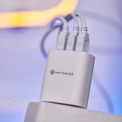 Зарядное устройство сетевое Rexant 16-0277