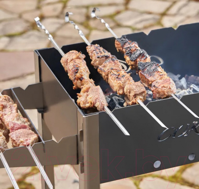 Набор шампуров СОКОЛ 62-0016