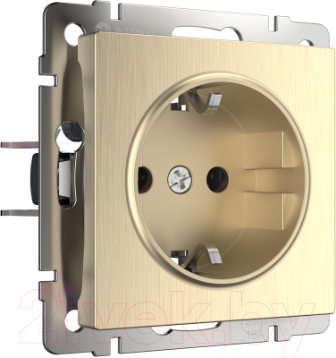 Розетка Werkel W1171010 / a051434 - фото