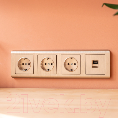 Розетка Werkel W1171010 / a051434