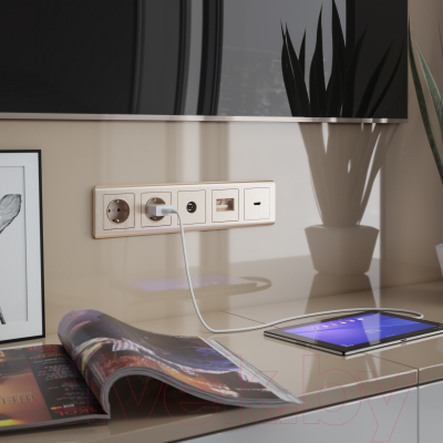 Розетка Werkel W1171010 / a051434