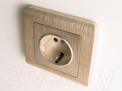 Розетка Werkel W1171110 / a051429