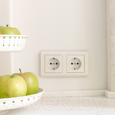 Розетка Werkel W1171113 / a051188