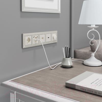 Розетка Werkel W1171113 / a051188