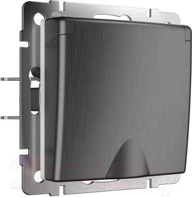 Розетка Werkel W1171204 / a050754 - фото