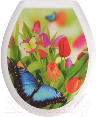 Сиденье для унитаза Мультидом Баттерфляй / СП72-103 - фото
