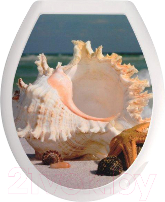 Сиденье для унитаза Мультидом Прибой / СП72-102 - фото