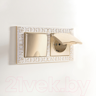 Розетка Werkel W1171210 / a051416