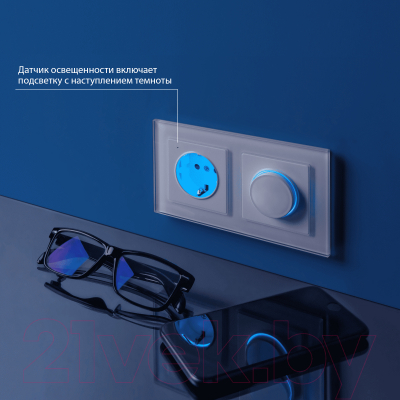 Розетка Werkel W1171401 / a051125