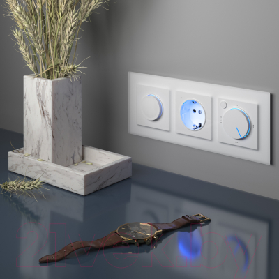 Розетка Werkel W1171401 / a051125