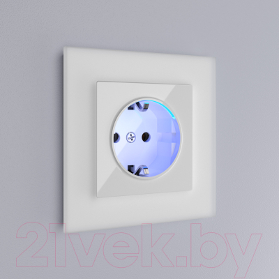 Розетка Werkel W1171401 / a051125