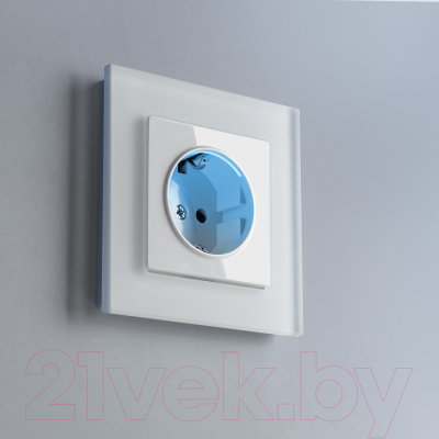 Розетка Werkel W1171401 / a051125