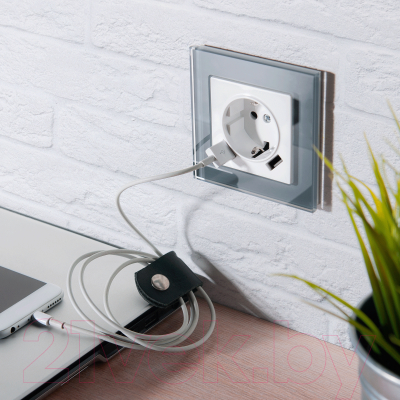 Розетка Werkel W1171501 / a051141