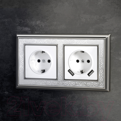 Розетка Werkel W1171501 / a051141