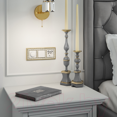 Розетка Werkel W1171501 / a051141