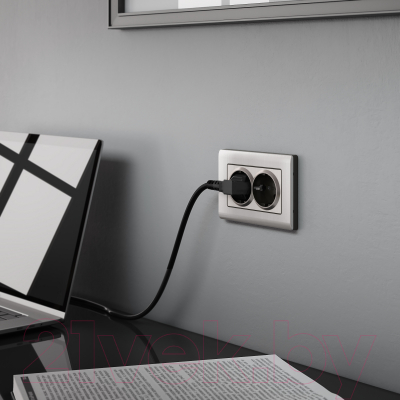 Розетка Werkel W1172002 / a051095