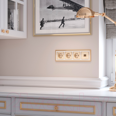 Розетка Werkel W1181010 / a051424