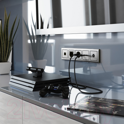 Розетка Werkel W1183002 / a051075