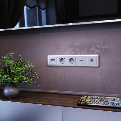 Розетка Werkel W1183006 / a051496