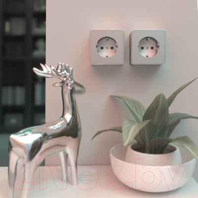 Розетка Werkel Gallant W5071006 / a052773